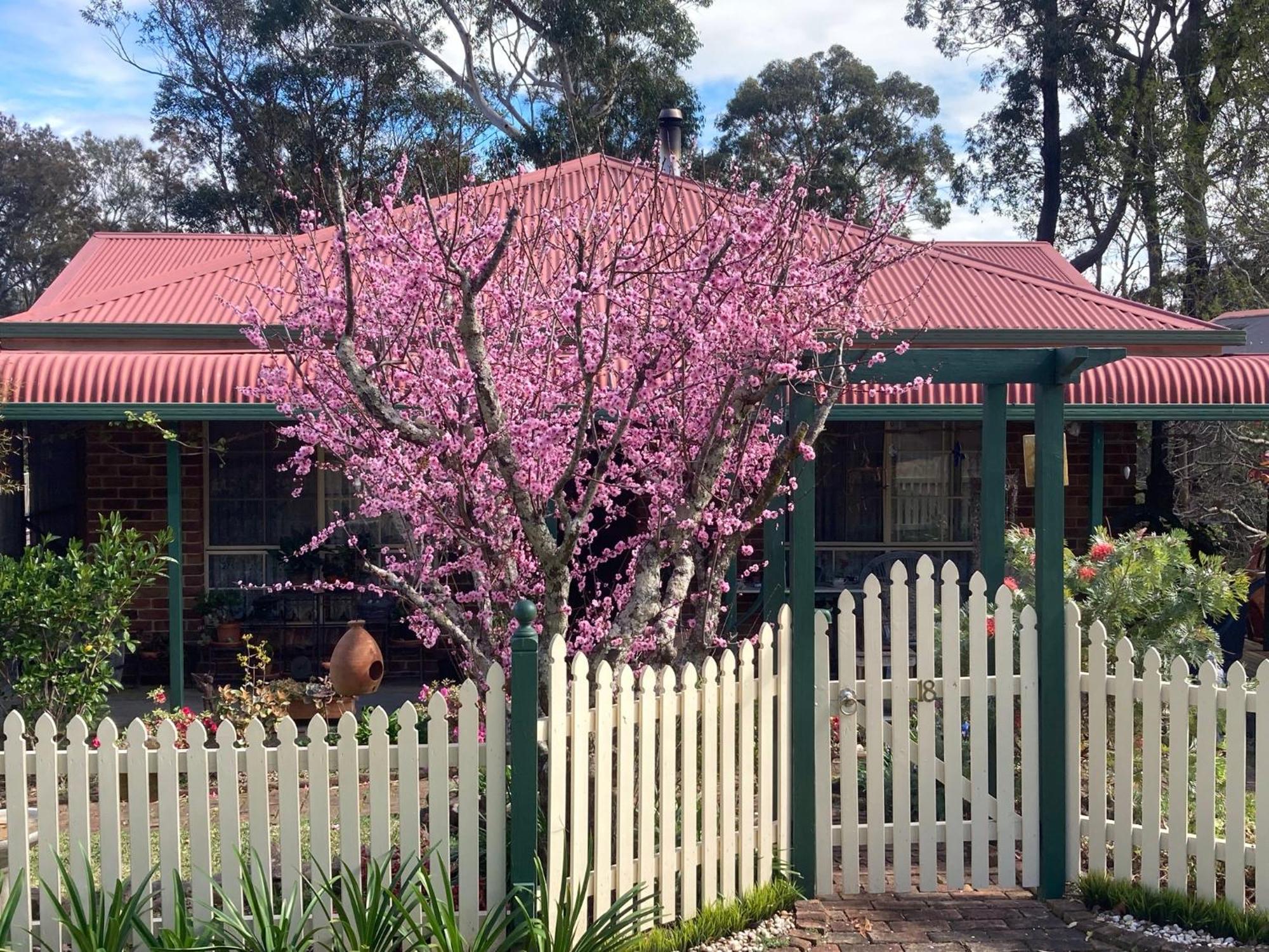 Blue Gum Cottage On Bay Bensville Esterno foto