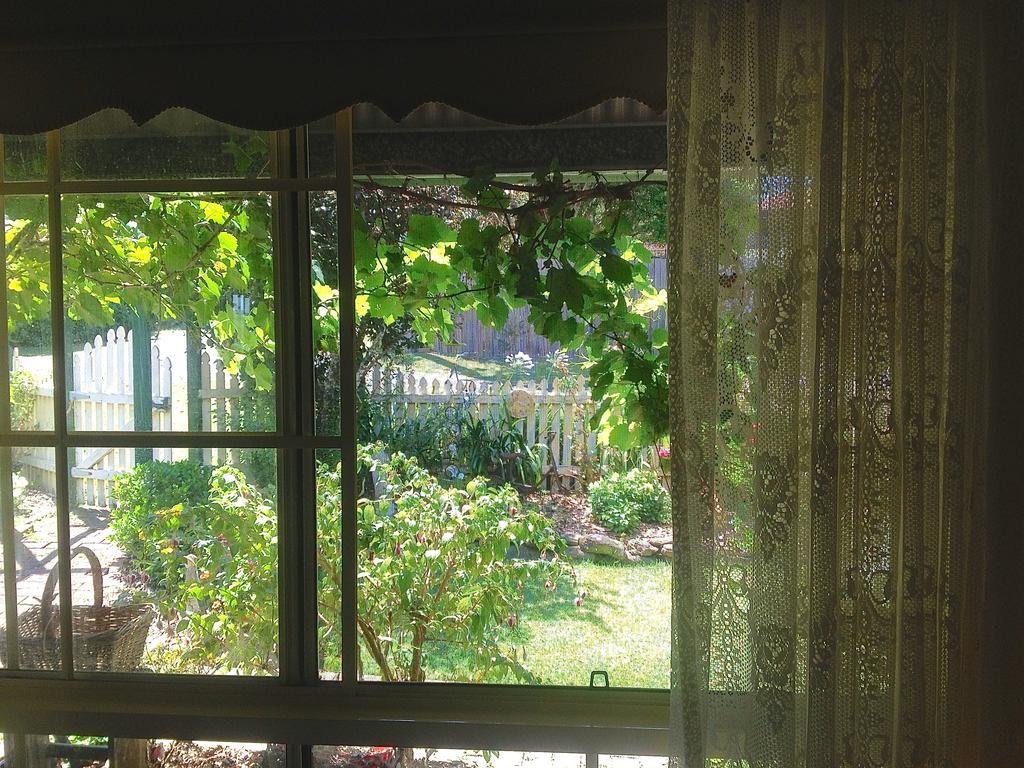 Blue Gum Cottage On Bay Bensville Camera foto
