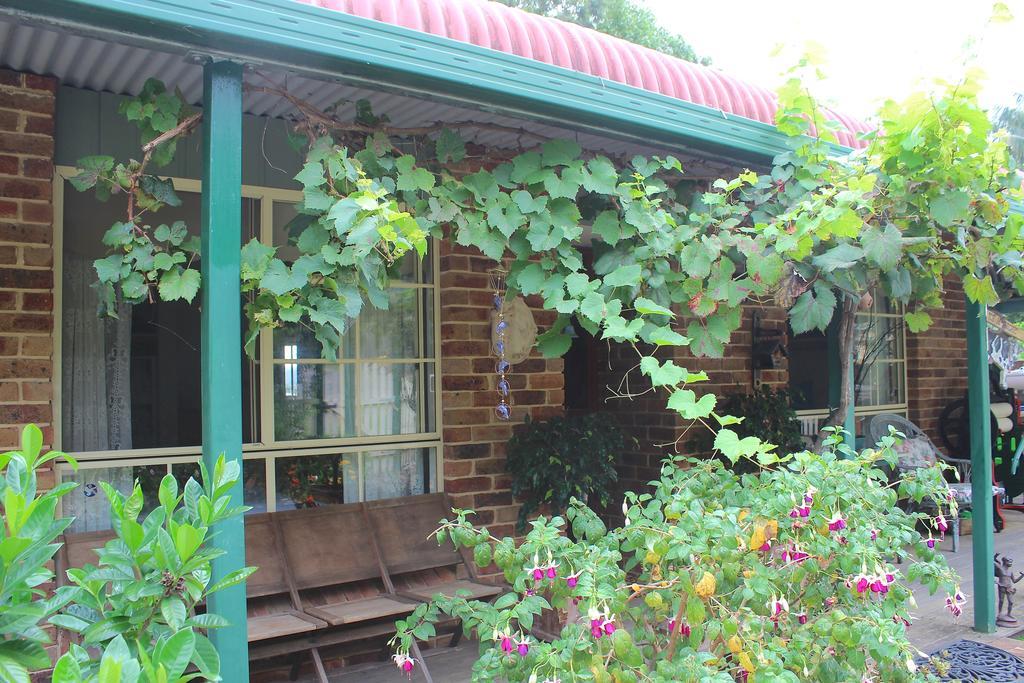 Blue Gum Cottage On Bay Bensville Camera foto